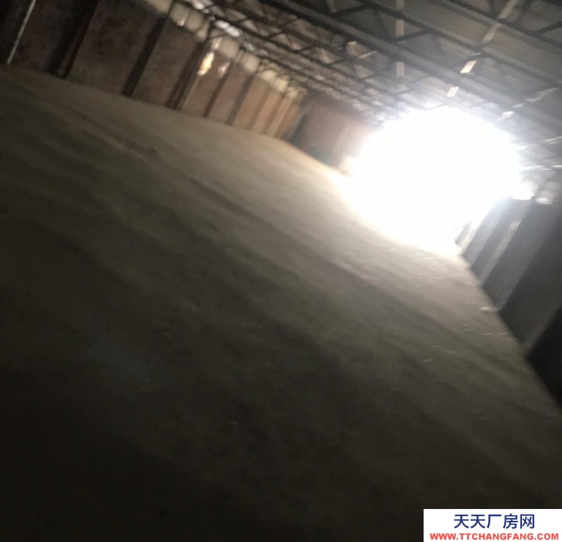 沧州 盐山(出租) 适合仓库、电商，二手车等多种用途