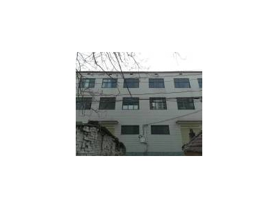 (出租) 漯河舞阳南京路北段路西，三层带院子图2
