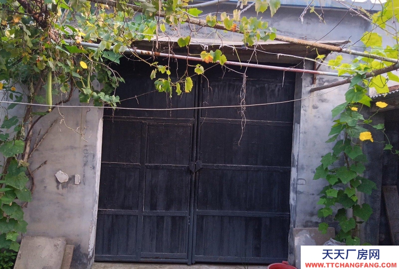 衡水 桃城(出租) 水电齐全交通便利，道路边方便