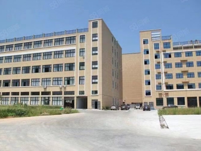 台州市黄岩(出售) 临海汛桥，建筑5000平米，1380万，大路旁，位置好  水产制品图2