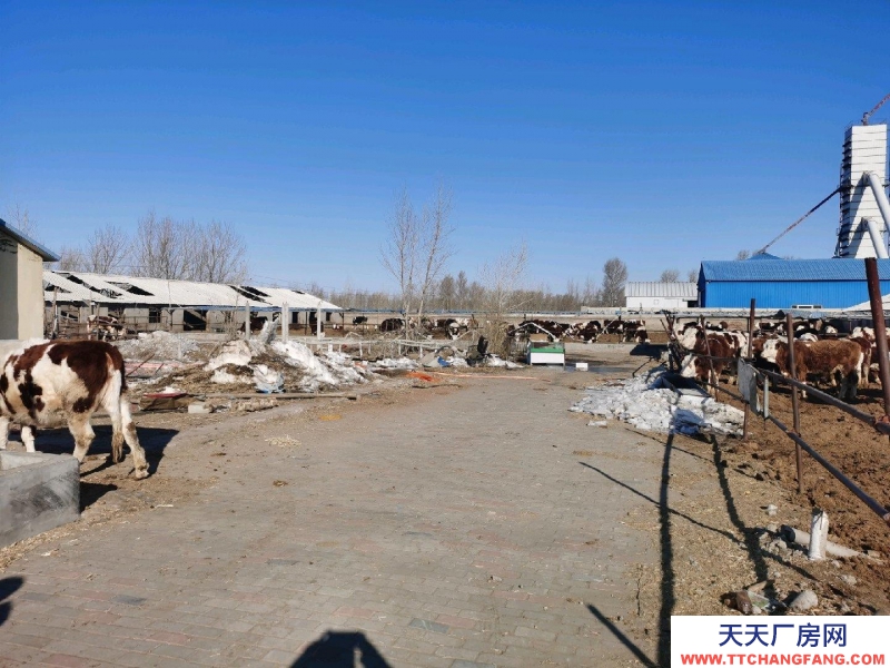 (出售) 双泡子北腰伯吐养牛小区 厂房 5400平米