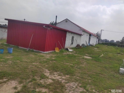 (出售) 出租 出售厂房 非常适合兴建粮库、生产加工企业和养殖图1