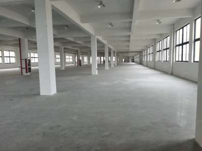 台州市黄岩(出售) 出售黄岩江口厂房，土地12米，建筑面积13500平。一楼8米 冷冻饮品图2