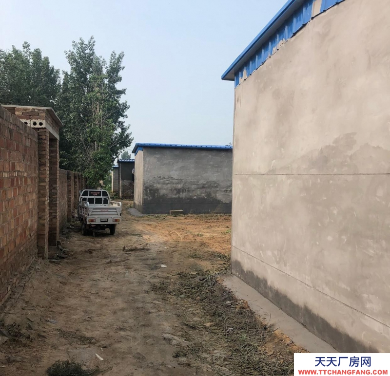 衡水 枣强(出租) 一套院300平米，共四套院，北房水泥里外包括地面抹灰，