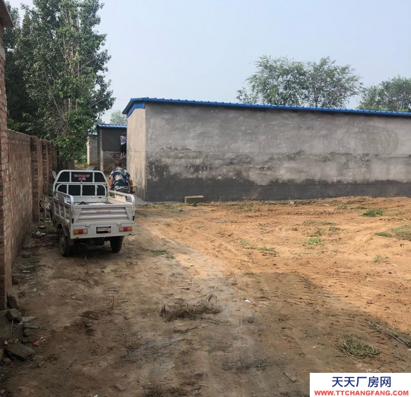 衡水 枣强(出租) 一套院300平米，共四套院，北房水泥里外包括地面抹灰，