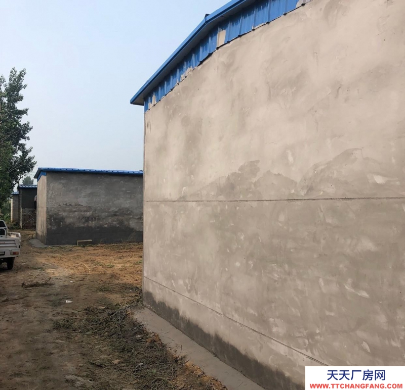 衡水 枣强(出租) 一套院300平米，共四套院，北房水泥里外包括地面抹灰，