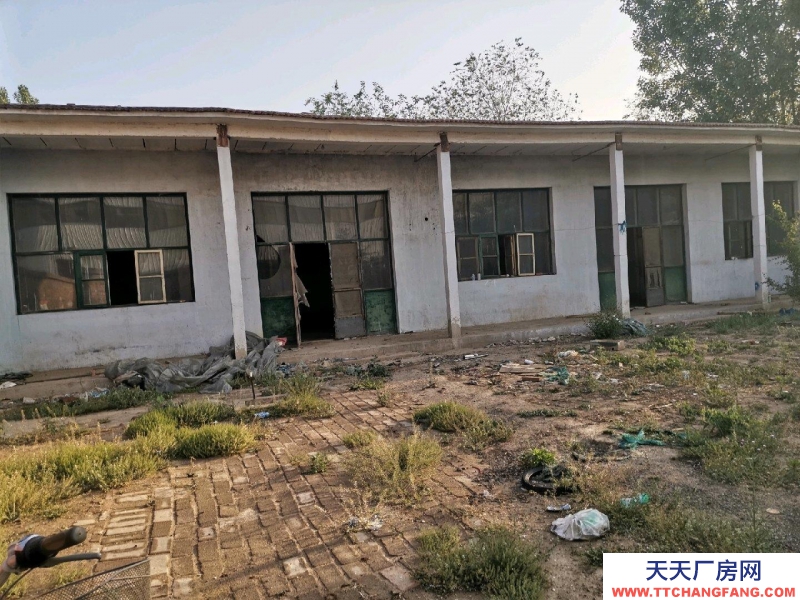 衡水 枣强(出租) 城区朝辉街闲院出租方便出入