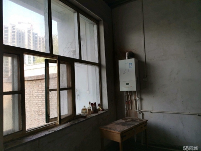 衡水 枣强(出租) 城区朝辉街闲院出租方便出入图2