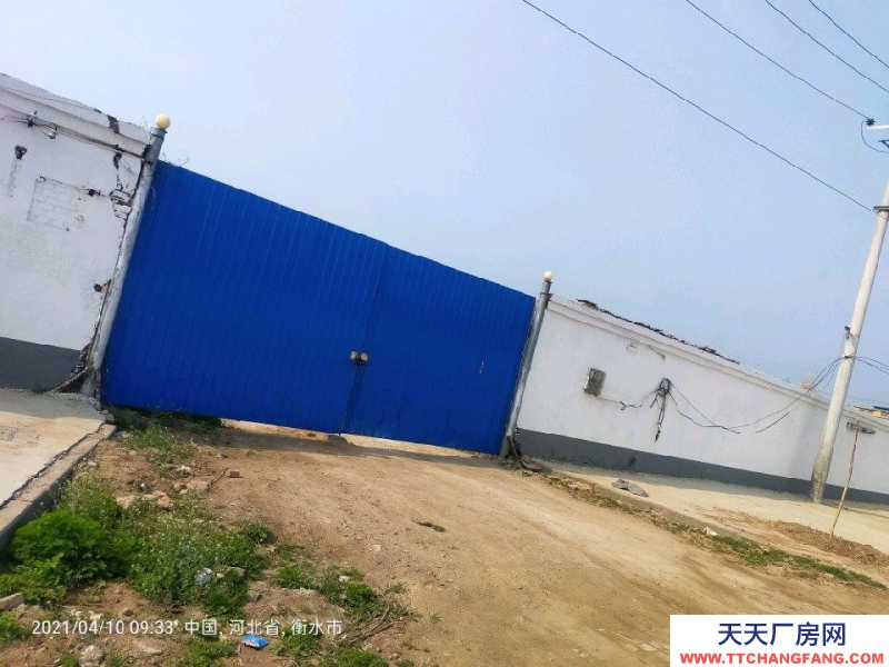 衡水 枣强(速冻食品厂房出租) 交通便利，水电齐全，可进13米大车