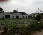 (出租) 漯河临颍库房周边环境挺好的 道路畅通