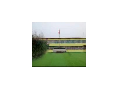 (出租) 漯河临颍占地面积2786平方，建筑面积913平方，2016年竣工。图1