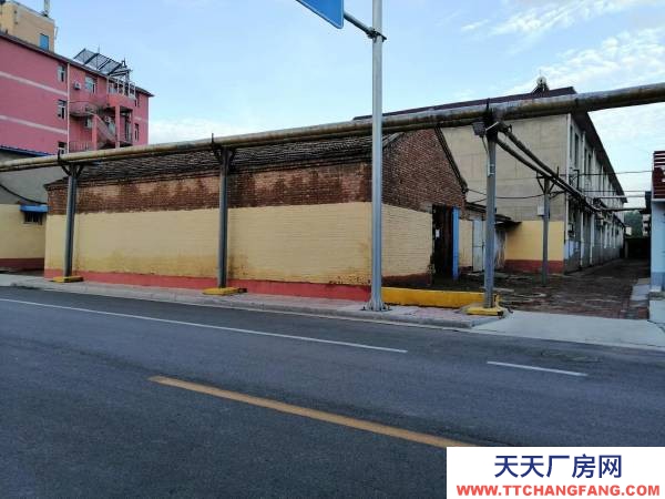 衡水 冀州(出租) 紧靠惠民街，交通方便。南北长14米，东西宽7.25米。