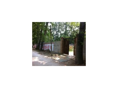 (出租) 三门峡市湖滨区交口乡杨家沟村村委南200米路边图4