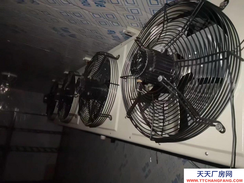 (出租)海拉尔 出租单独小冷库可调温
