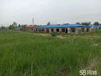让胡路不动产证 养殖厂房 价格可议图1