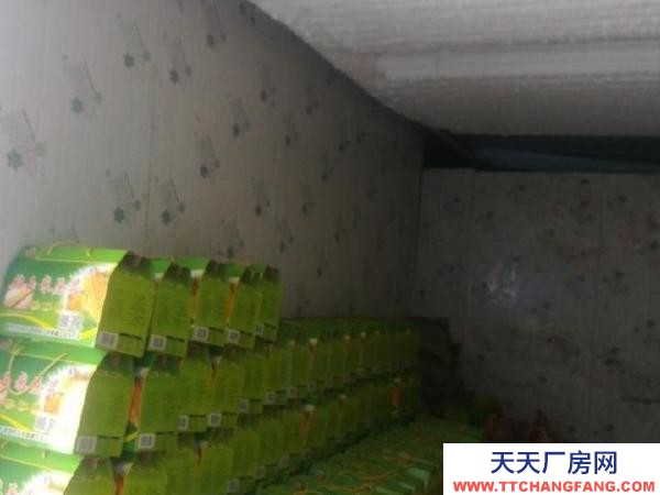 让胡路宏伟冷冻库恒温库大量出租