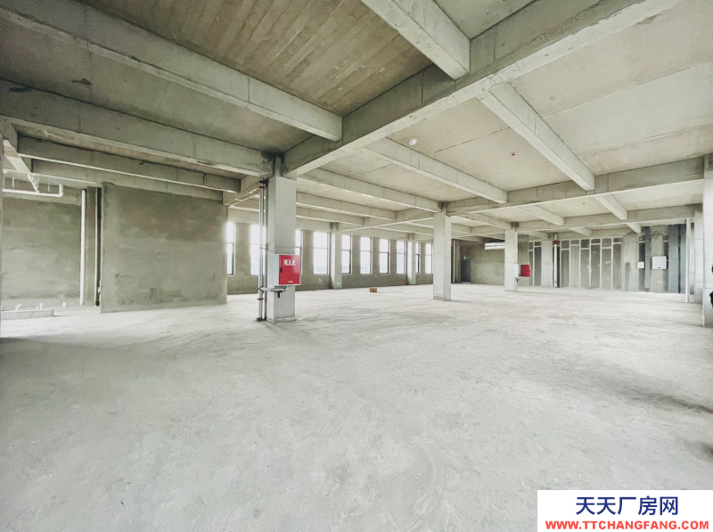 出租天府新区独栋总部办公2000平，可生产，气质一流，特惠！