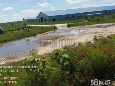 杜尔伯特厂房面积大，适合养殖，设备齐全图1