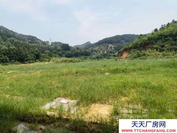 福州市闽清机加工厂房 闽清正规工业区厂房出售，33亩地块方正，位置佳，自用