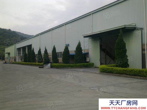 福州市闽清饮料厂房 福州闽清白金工业区独栋钢构厂房出售