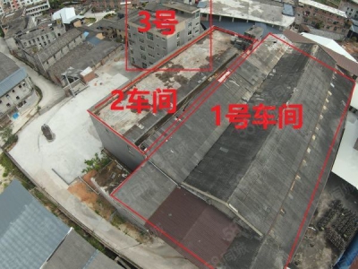 福州市闽清腌腊肉制品厂房 福州闽清宝新工业区独栋厂房低价出售图4