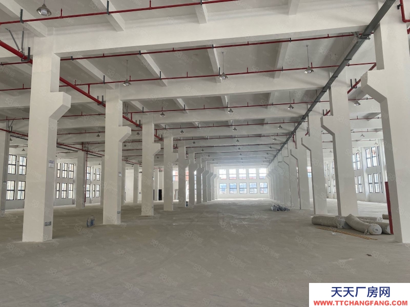 台州市路桥(出租) 出租滨海标准厂房一到三层共10500平高8米标准大货梯厂房好  食糖