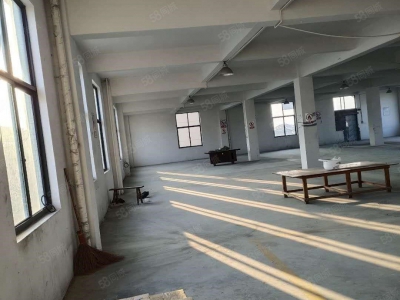 台州市路桥(出租) 出租滨海标准厂房一到三层共10500平高8米标准大货梯厂房好  食糖图1
