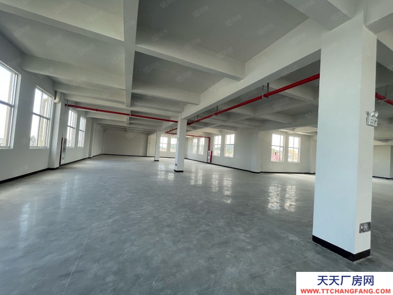 台州市路桥(出租) 新桥独门独院新厂房共4层4500平高度8米可分租  酒类