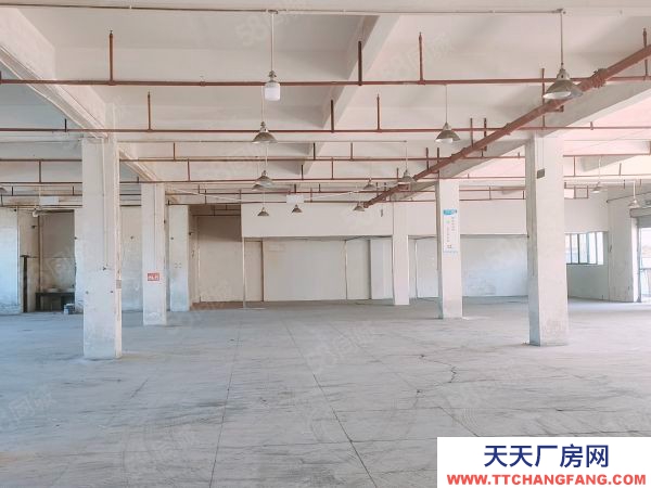 赣州市章贡蛋白饮料厂房 沙河厂房出租标准厂房一手业主租金便宜有意面谈