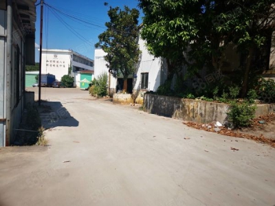 赣州市章贡物资仓库 沙河工业园900平米仓库出租图3