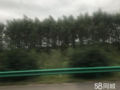伊春修配加工厂房出租，独门独院，可单租图1