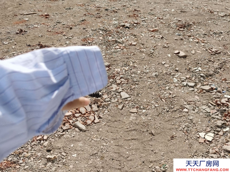 台州市路桥(出售) 出售峰江104国道旁边空地5亩规划4层6100平方  保健食品