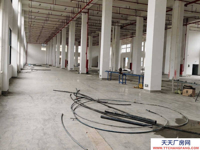 台州市路桥(出售) 出售峰江双层框架结构厂房土地4亩建筑2700平方  珠宝加工