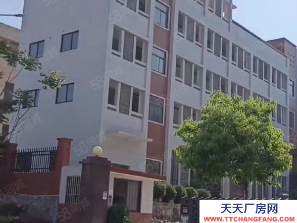 赣州市赣县方便食品厂房  高新区振兴路厂房出租 交通便利