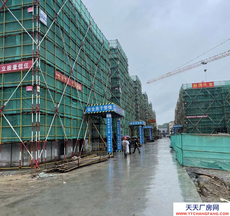 台州市路桥(出售) 500起，非中介，出售50年独立产权厂房，三证齐全可按揭   乳制品