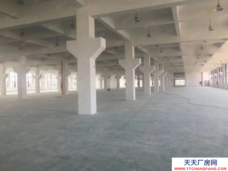 台州市路桥(出售) 出售路桥，独门独院17亩，10000平，诚心出售4200万  速冻食品