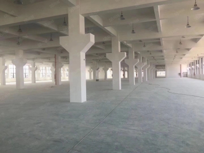 台州市路桥(出售) 出售路桥，独门独院17亩，10000平，诚心出售4200万  速冻食品图2