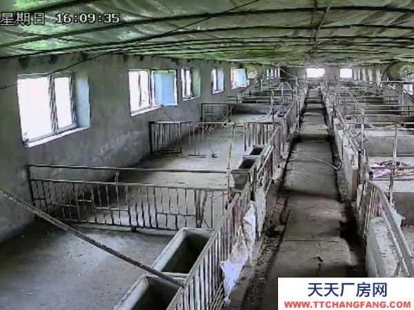 铁力交通便利，三项电，自来水，深水井 养殖厂房