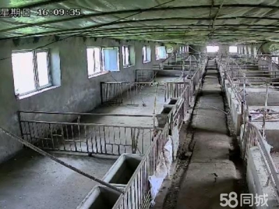 铁力交通便利，三项电，自来水，深水井 养殖厂房