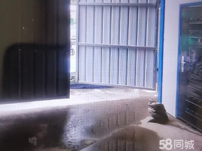 向阳可进车，地点好，新大门。图1