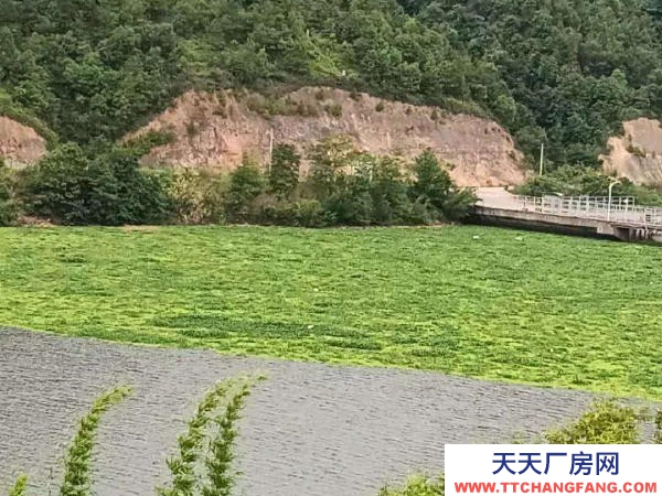 赣州市赣县机加工厂房  乡村湖景房出租 居龙潭水库边（可租、可售、可合伙开发民宿）