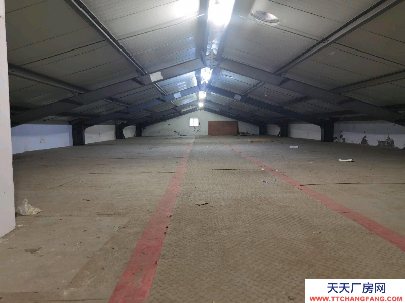 台州市玉环县(出租) 二层阁楼仓库，月租金每平方7元，电梯上下货，大车进出方便