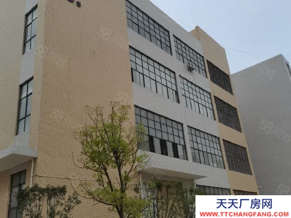赣州市南康家具厂  镜坝家具生产标准厂房出租