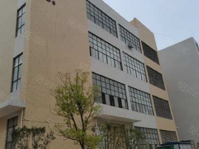 赣州市南康家具厂  镜坝家具生产标准厂房出租图4