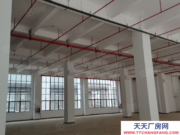 赣州市南康家具厂 家具核心区标准厂房出租