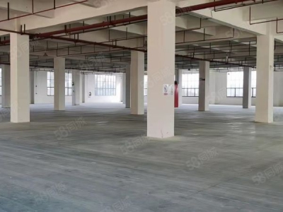 赣州市南康家具厂 家具核心区标准厂房出租图3