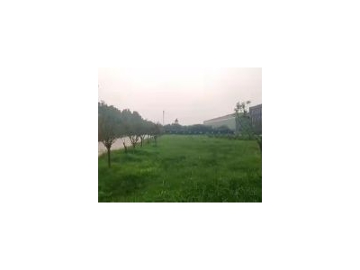 (出租) 鹤壁淇滨房东直租！厂房仓库空场地，大小面积你定图2