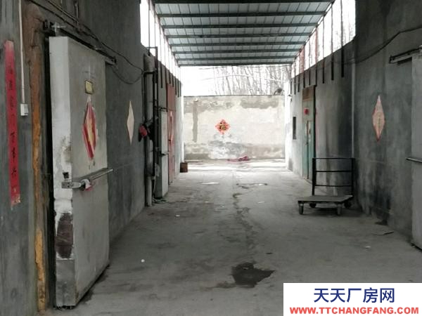 (出租)鹤壁淇滨 老淇河桥冷库出租！！大小平方均有！！