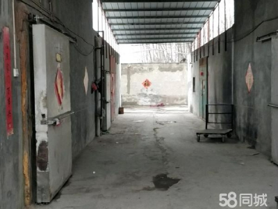 (出租)鹤壁淇滨 老淇河桥冷库出租！！大小平方均有！！图1