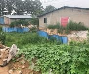 (出租) 鹤壁浚县可以整租厂区可以单独租棚